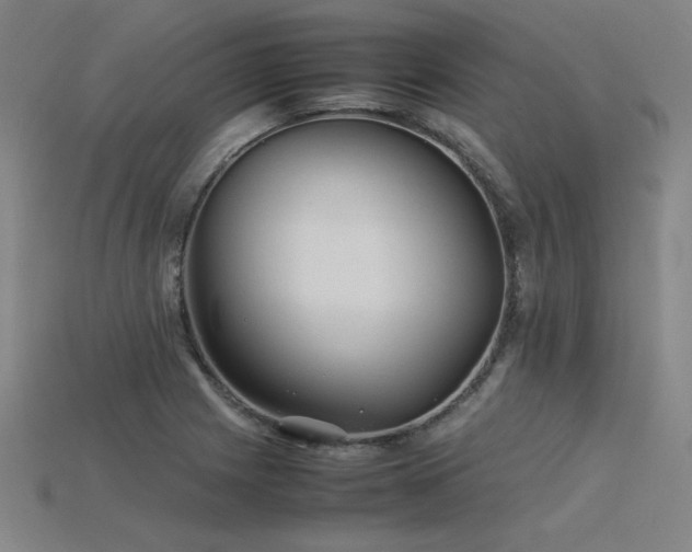X0000115801225200911131352