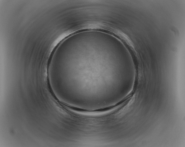 X0000115801226200911131352