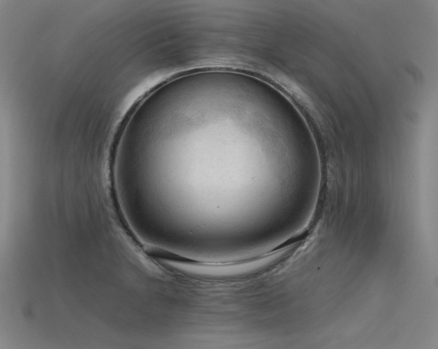 X0000115801230200911131352