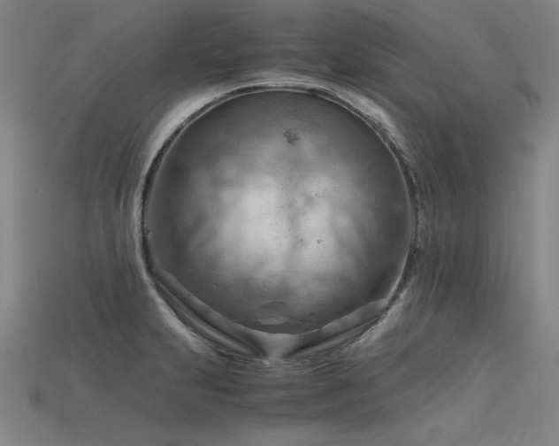 X0000115801231200911131352