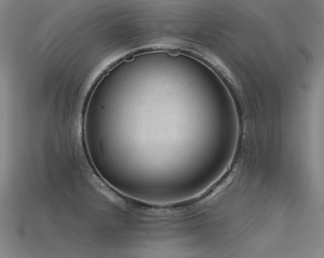 X0000115801232200911131352