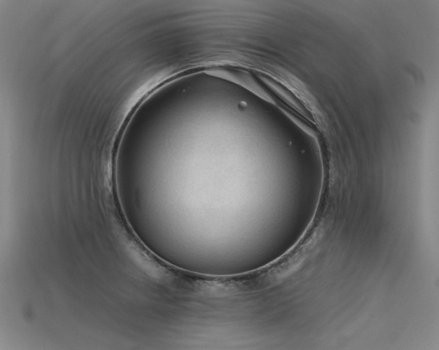 X0000115801234200911131352