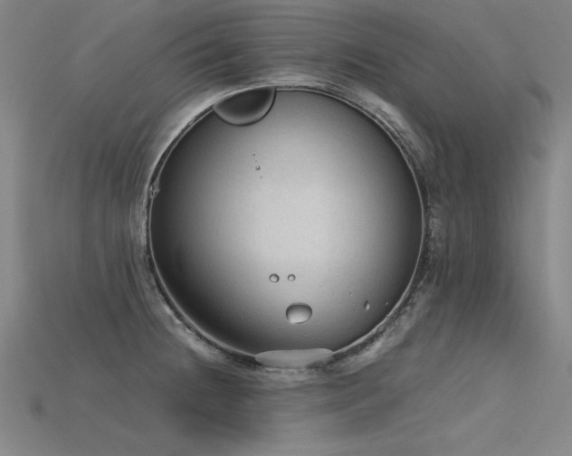 X0000115801236200911131352