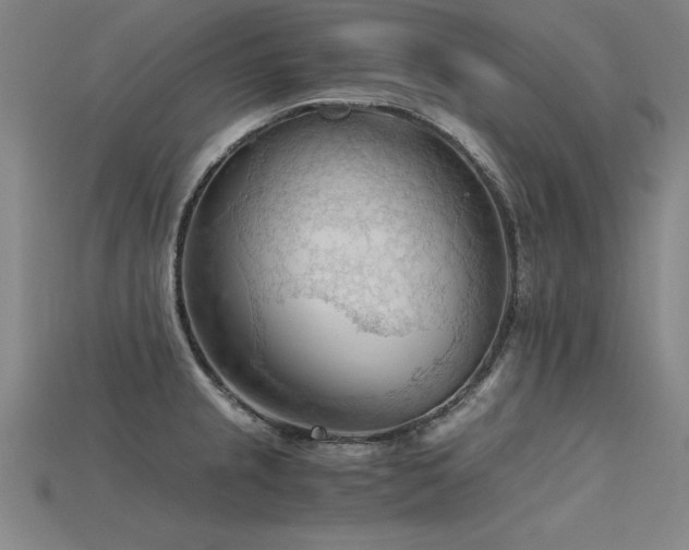X0000115801237200911131352