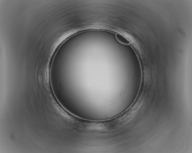 X0000115801238200911131352