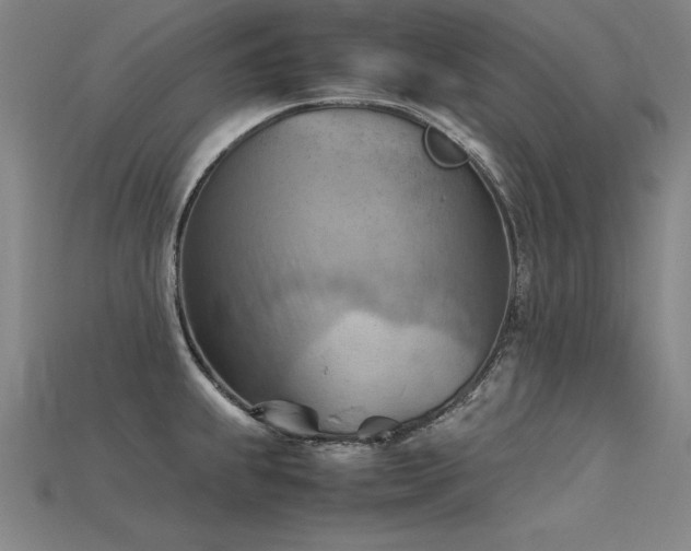 X0000115801239200911131352