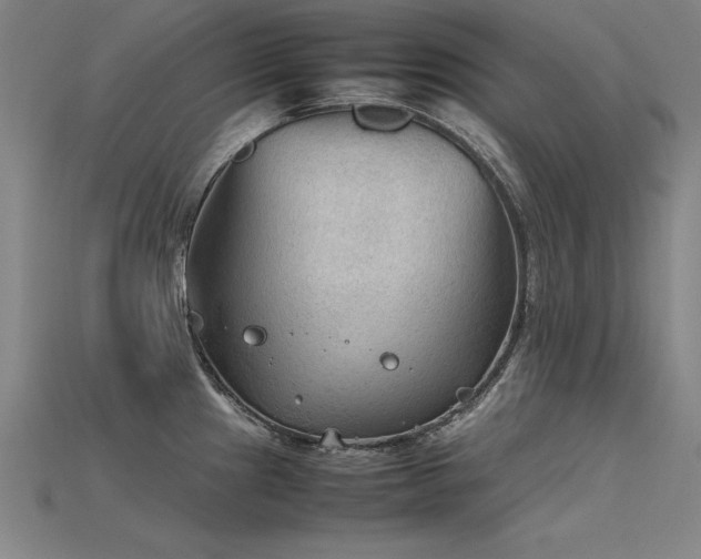 X0000115801241200911131352