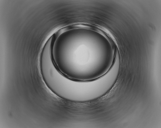 X0000115801243200911131352