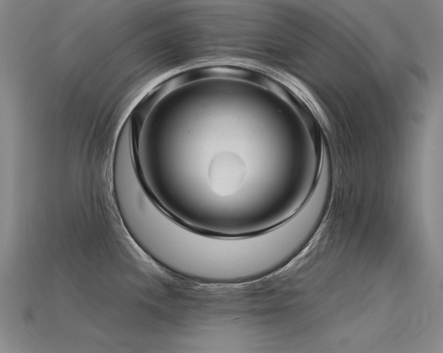 X0000115801244200911131352