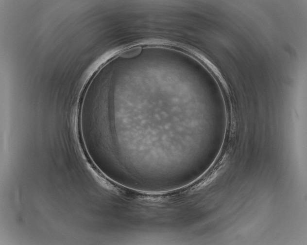 X0000115801245200911131352