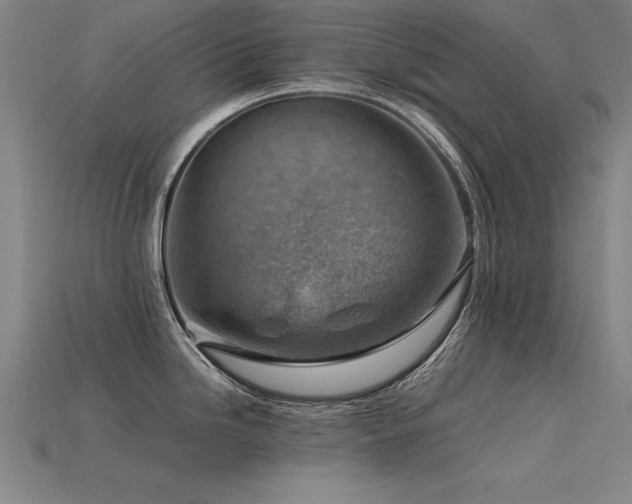 X0000115801246200911131352