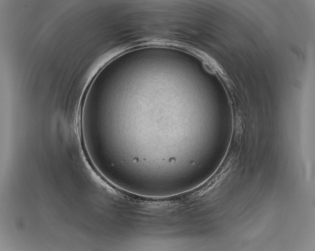 X0000115801247200911131352