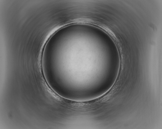 X0000115801248200911131352