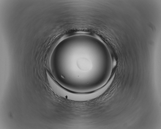 X0000115801249200911131352