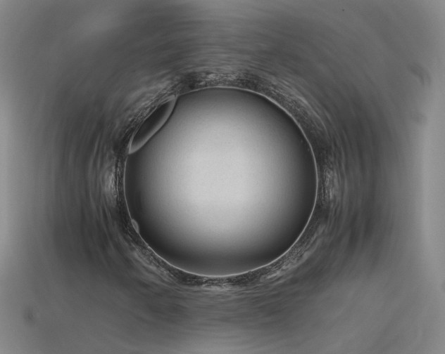 X0000115801250200911131352