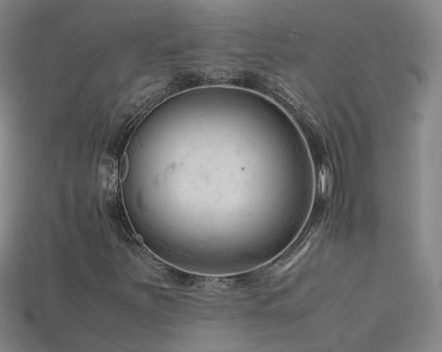 X0000115801251200911131352