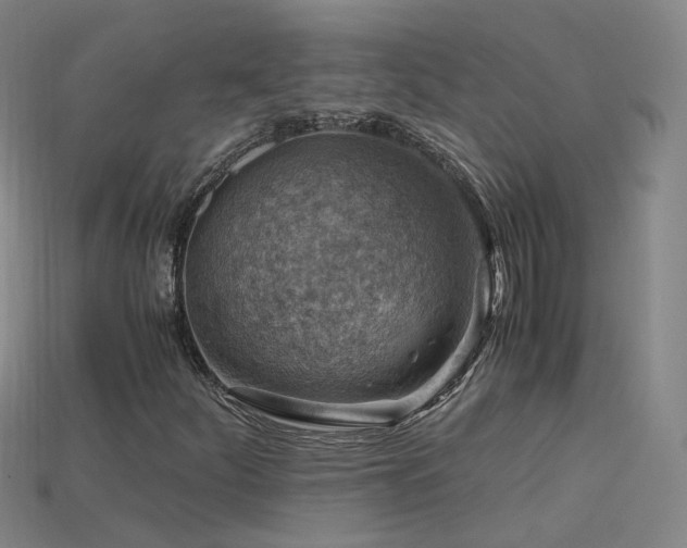 X0000115801252200911131352
