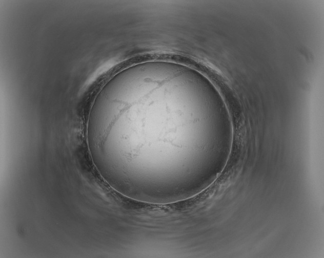 X0000115801255200911131352