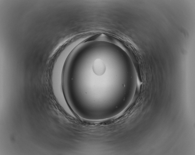 X0000115801256200911131352