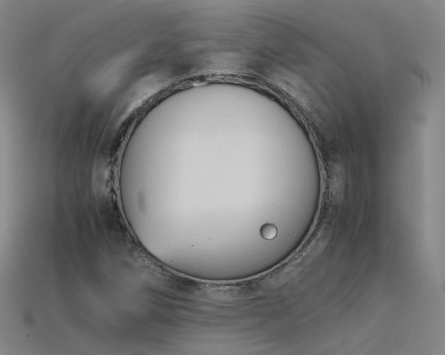X0000115801258200911131352