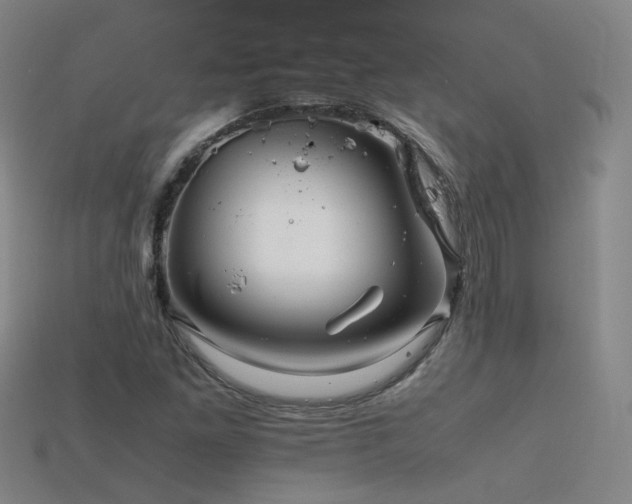 X0000115801261200911131352