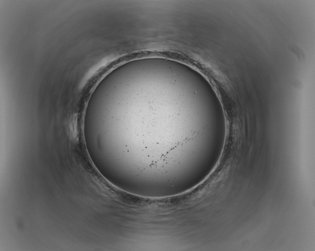 X0000115801262200911131352