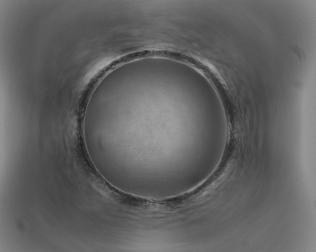 X0000115801263200911131352