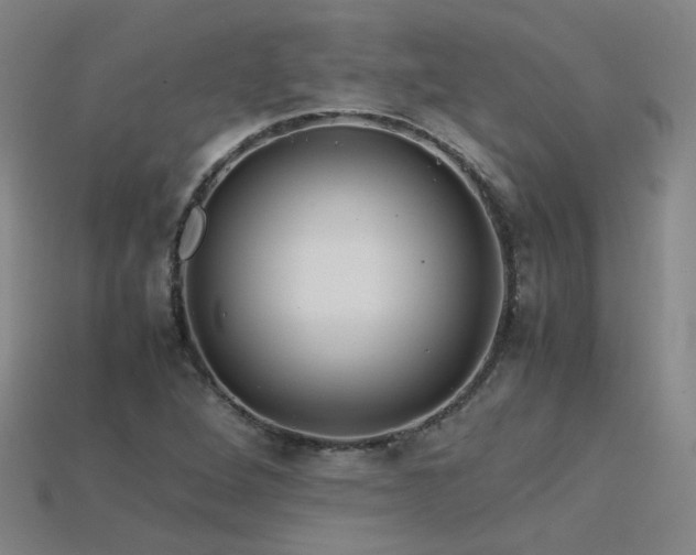 X0000115801264200911131352
