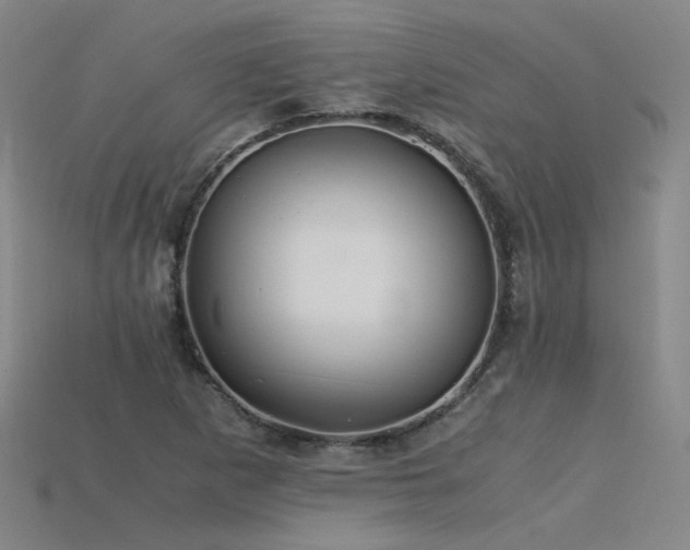 X0000115801265200911131352