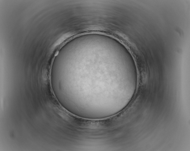 X0000115801266200911131352