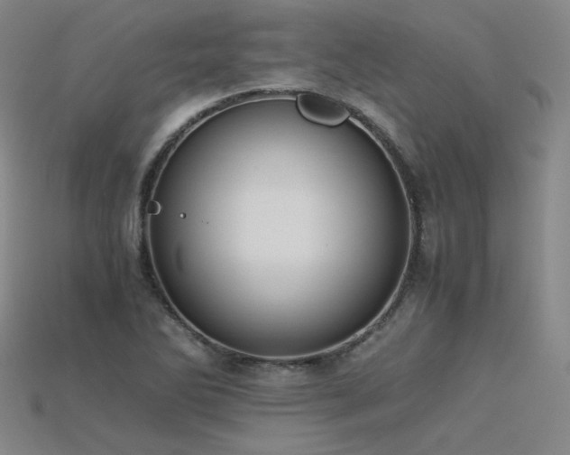 X0000115801270200911131352
