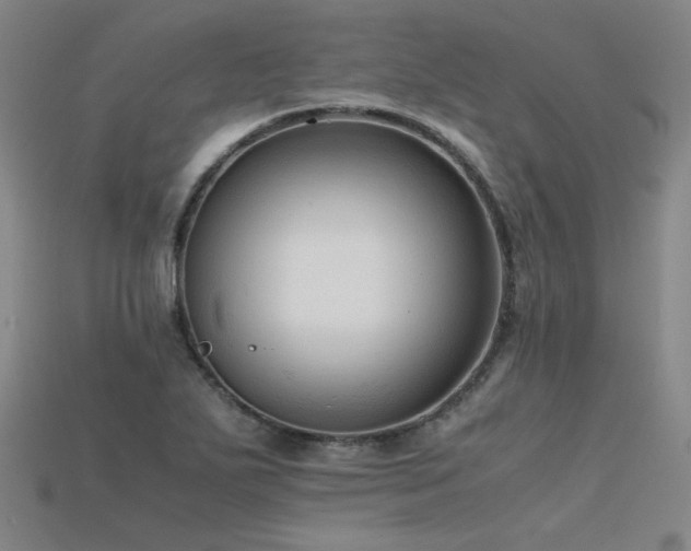 X0000115801271200911131352