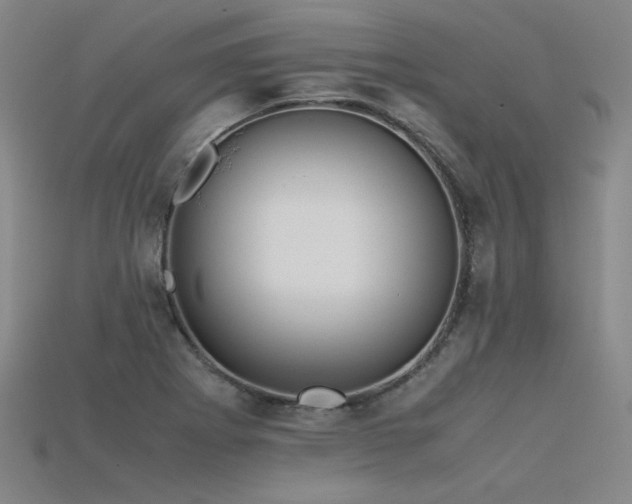 X0000115801273200911131352