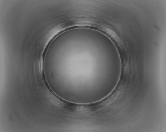 X0000115801275200911131351