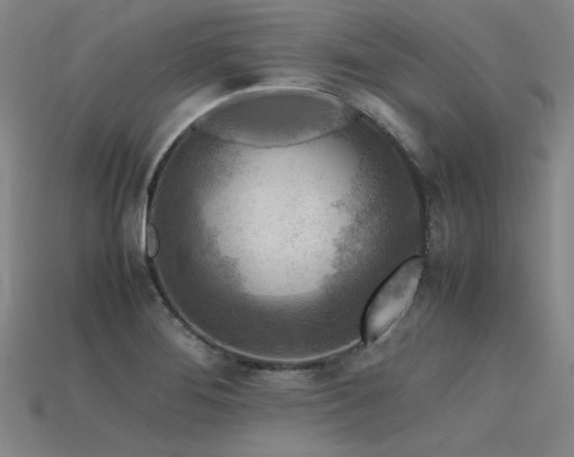 X0000115801276200911131351