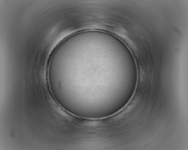X0000115801278200911131351