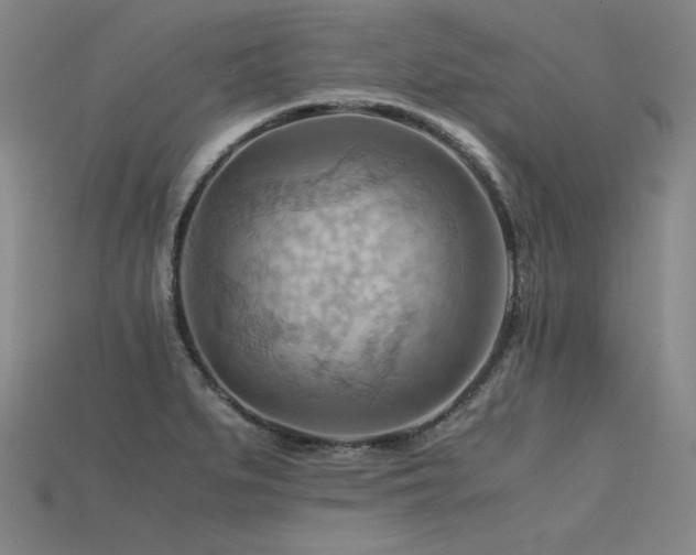 X0000115801279200911131351