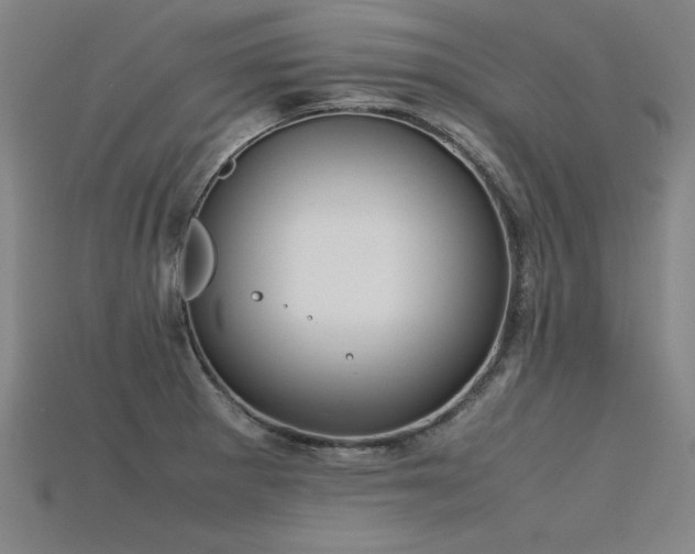 X0000115801281200911131351