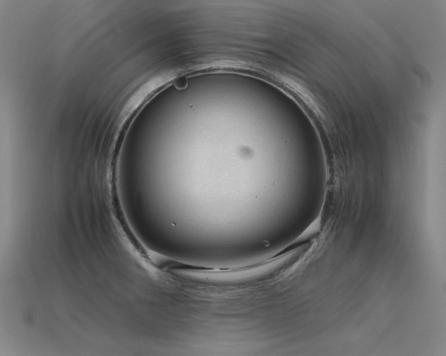 X0000115801282200911131351