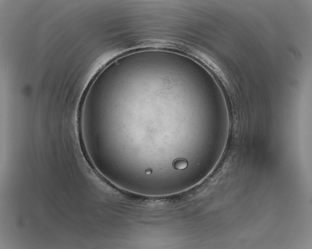 X0000115801283200911131351