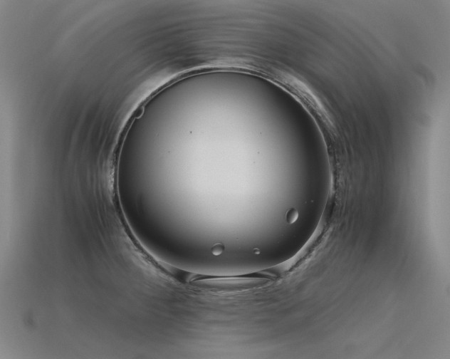X0000115801284200911131351