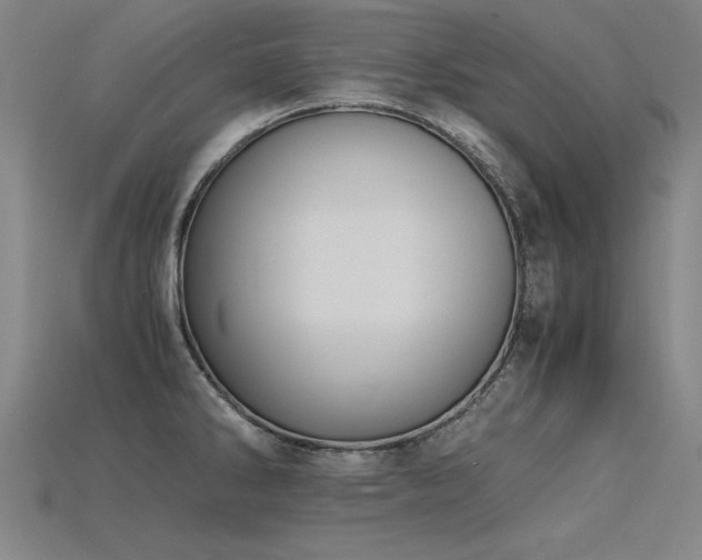 X0000115801286200911131351