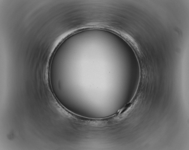 X0000115801288200911131351