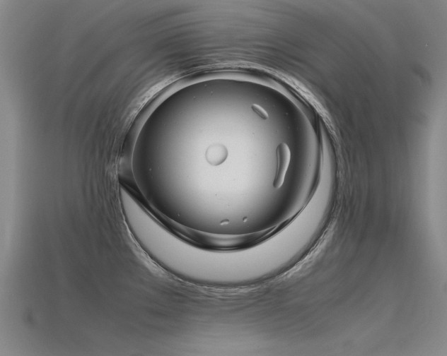 X0000115801289200911131351