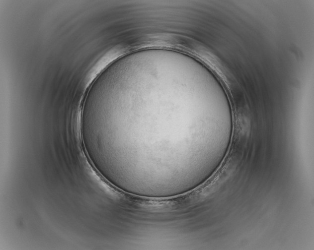 X0000115801290200911131351