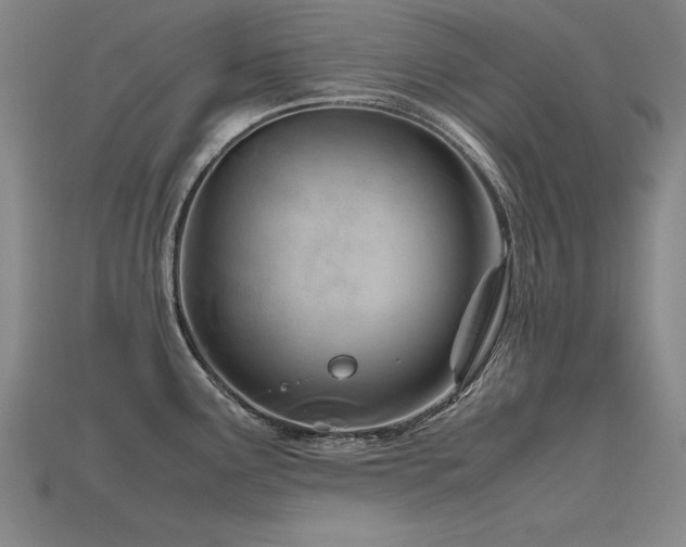 X0000115801291200911131351