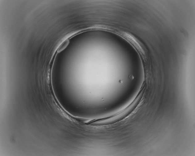 X0000115801292200911131351