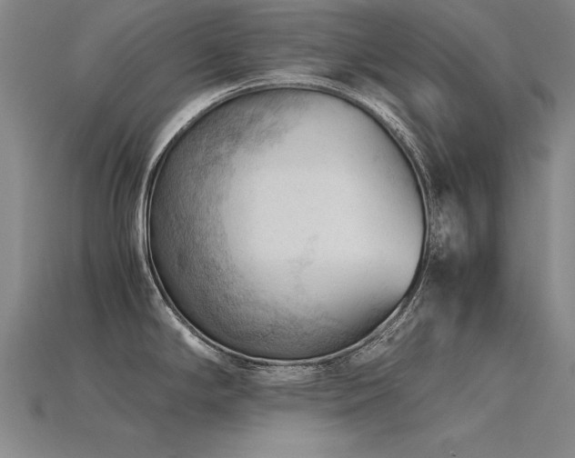 X0000115801294200911131351