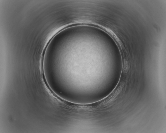 X0000115801295200911131351