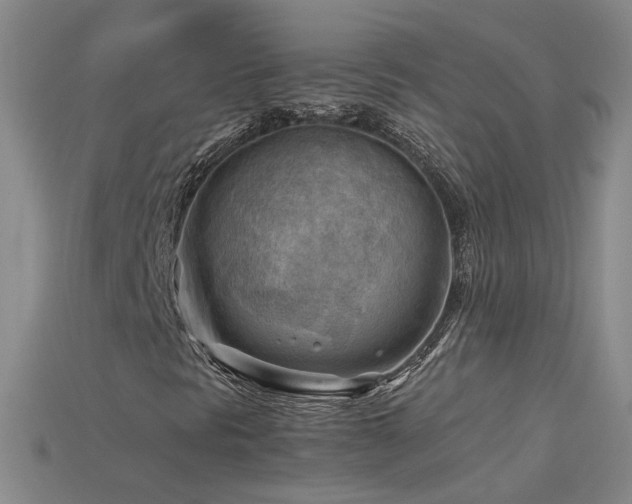 X0000115801297200911131351